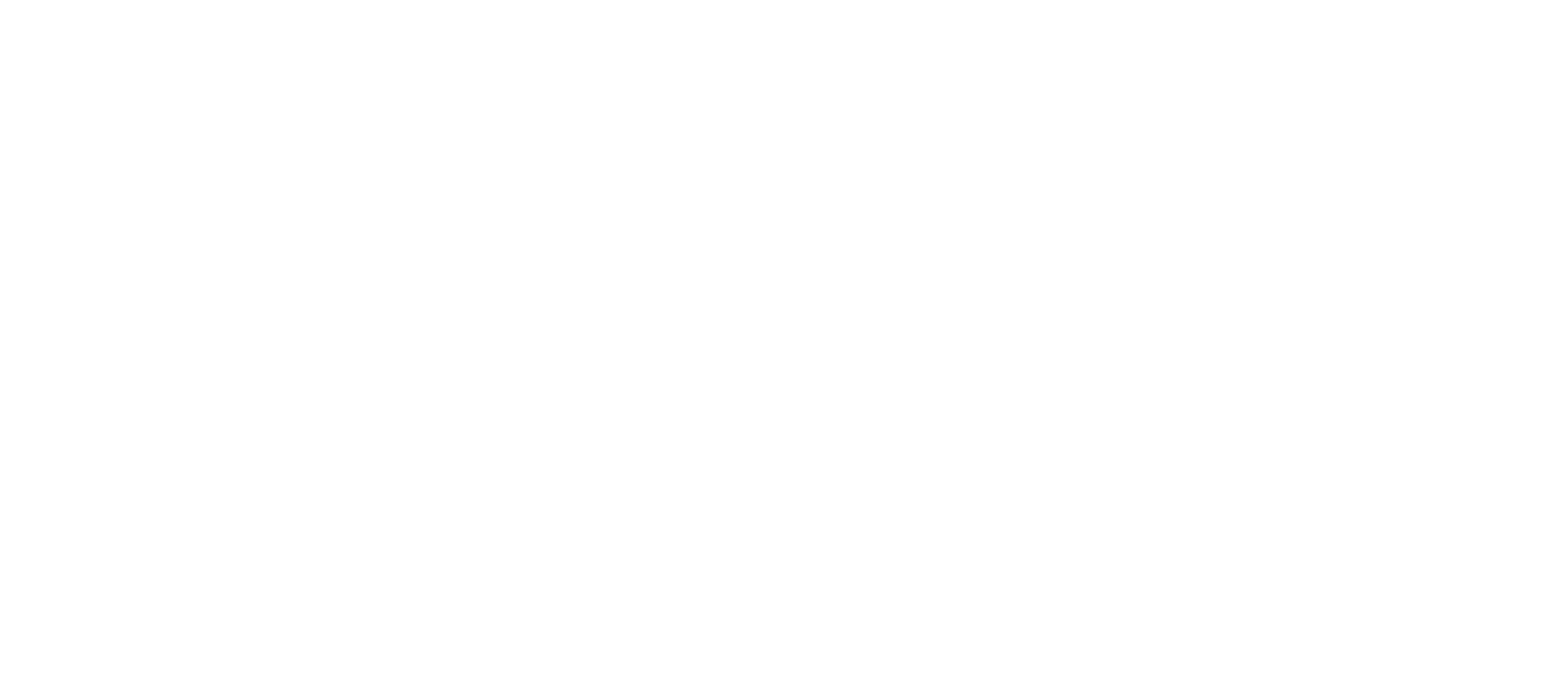 One Burrito